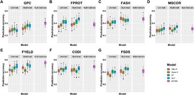 Multi-Trait Multi-Environment Genomic Prediction for End-Use Quality Traits in Winter Wheat